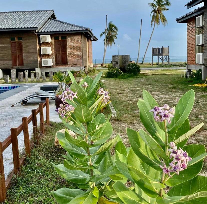 The Skepeng Apartment Kampung Penarik Ngoại thất bức ảnh